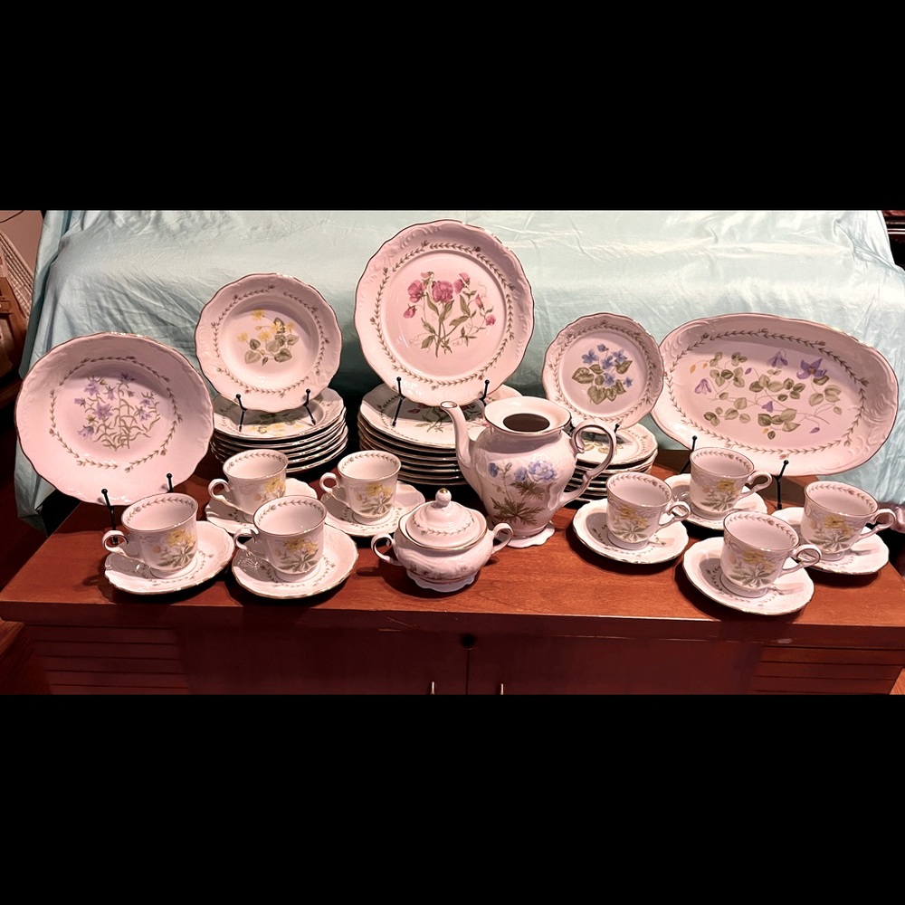 China dishes Floriade by
TIENSHAN